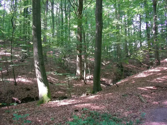 Börnsen, Ausschnitt
