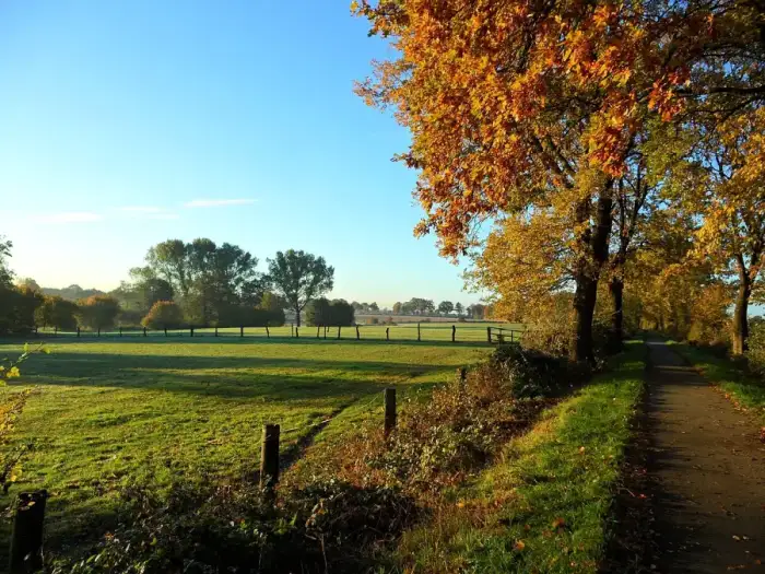 Brunsbek, Ausschnitt