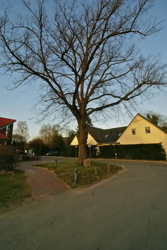 Delingsdorf, Ausschnitt