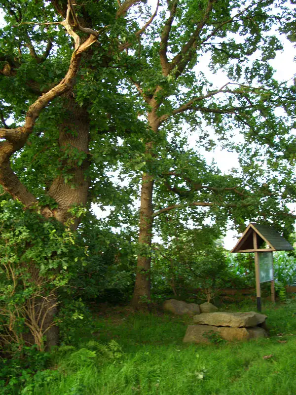 Heinbockel, Ausschnitt