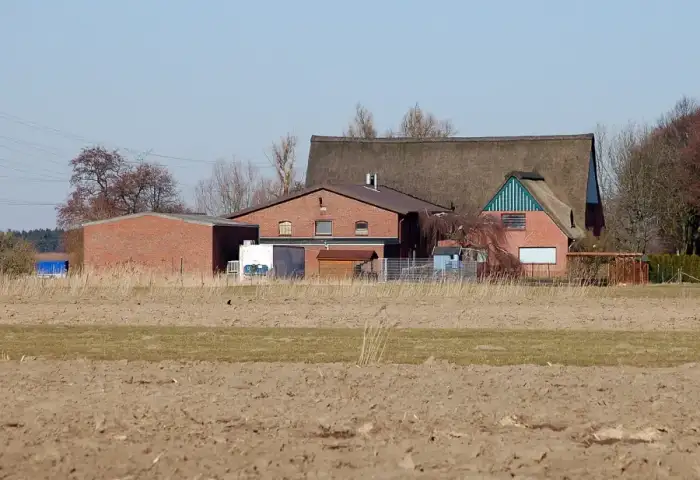 Heist, Ausschnitt