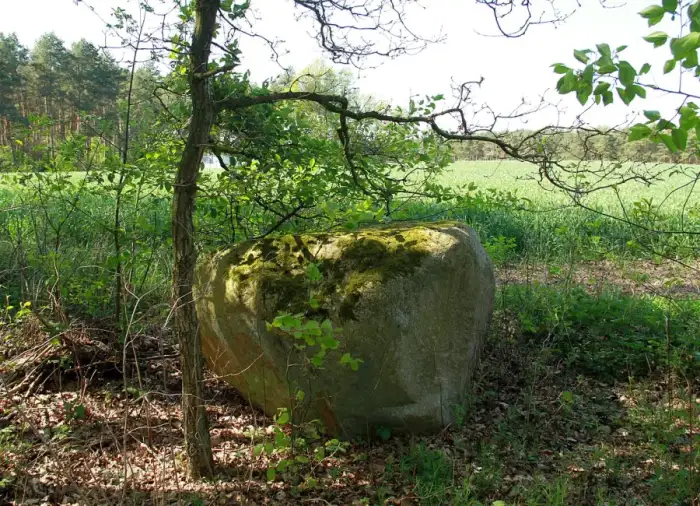Reppenstedt, Ausschnitt