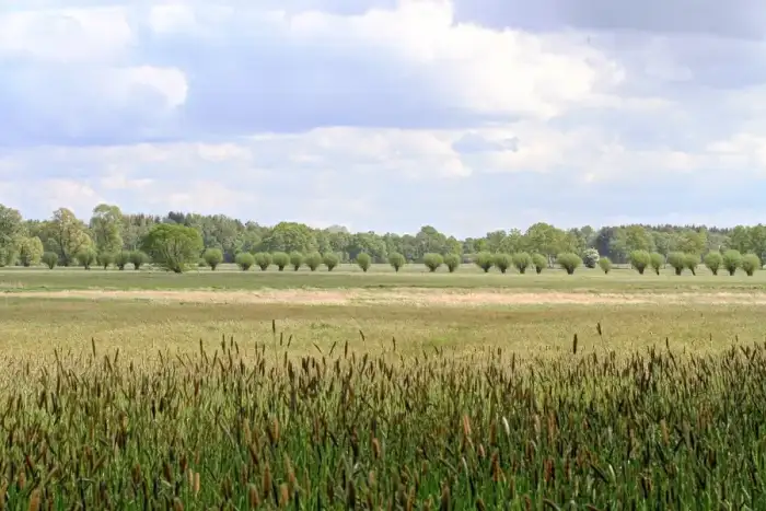 Wakendorf II, Ausschnitt