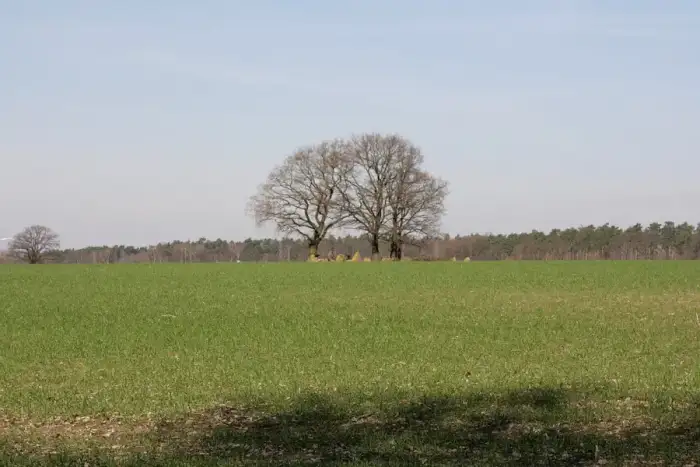Wrestedt, Ausschnitt